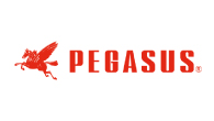 Pegasus